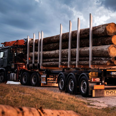 Une semi-remorque LOGO chargée de gros troncs d'arbres sur une route non goudronnée devant un ciel dramatiquement nuageux.