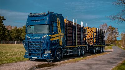 Camion bleu avec remorque à plate-forme DOLL transportant de gros troncs d'arbres sur une route de campagne ensoleillée, démontrant sa capacité de chargement et son efficacité.